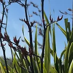 Family Beach Getaway, Pools, Mountains And More