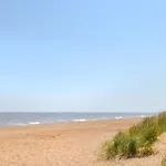 Rosedene Cottage - Uk48604