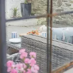 River Watch - Fowey