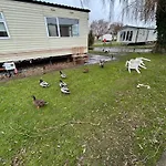 -Garden-Parking-Nearcoast Springs 77
