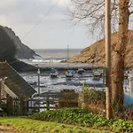 Cove View