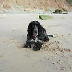 Hightide - 2 Bed With Parking, Balcony & Sea View.