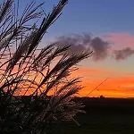 The Perch - Southwold Luxury And Blissful Views