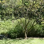 Miller'S House