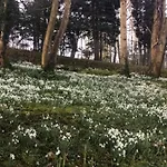 Moel Siabod - Glan Gwna Holiday Park