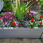 Brookside Guest House & Mini Spa