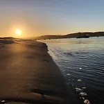 Sunny View