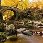 Riverside Retreat By Tollymore