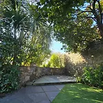 Mulberry Tree