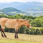 Rhos Retreat No 7