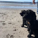 Golden Dunes Retreat, Dog-Friendly Stay At Par Sands Holiday Park, Cornwall