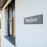 Rosefern