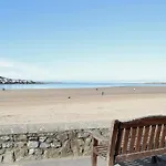 The Swallows
