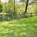 Carpenters Lodge The Perfect Dog Friendly Retreat