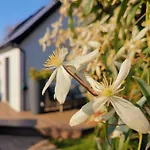 Hastings Casita, 'Little House' Self Contained Garden Lodge, Close To Town And Seafront