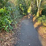 Island Escape Sandown