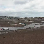 The Dolphins