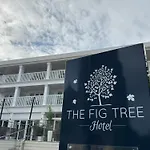 The Fig Tree Shanklin