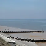 Sea Wrack