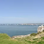 Needles And Winds