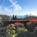 The Lookout