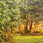 Seabreeze Lodge, Located Between Penzance & St Ives - A Sanctuary To Relax & Unwind With Activities On The Doorstep For All The Family