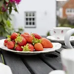 Periwinkle Cottage - Bridport