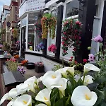 The George Guest House