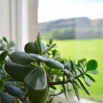 Sanctuary In The Scottish Capital, Sleeps 3 Guests