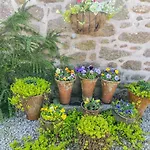 Anjarden Byre, Penzance