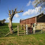 The Old Dairy