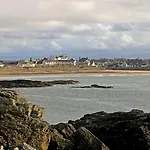 The Bay