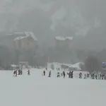 Bosque Nevado