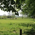 Ty Llwyd
