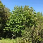 Sea Wood Villa