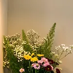 Exquisite 3Bdr Botanical Oasis In Central Brighton