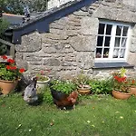 Borea Barn Vegetarian B&B
