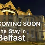 The Stay