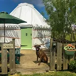 Orchid Yurt