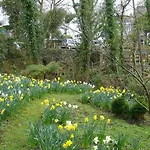 Ingledene, Boscastle