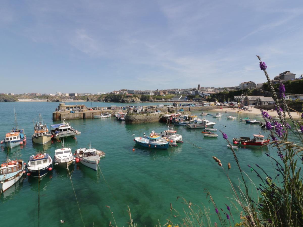 The Edge, Newquay * New Quay