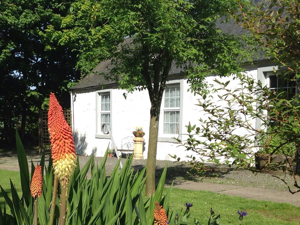 Balkissock Bed & Breakfast